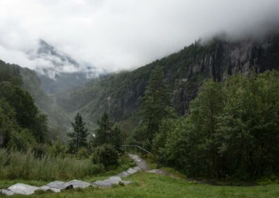 Chemin se faufilant dans la nature en Norvège - Road Again