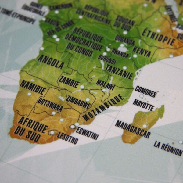 Détail sur l'Afrique de la carte du monde à épingler Serial Trippers