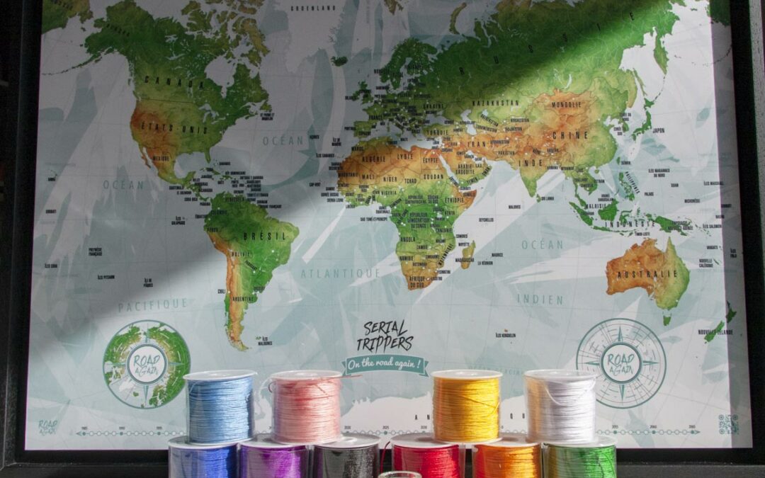 Carte à épingler : quelle carte choisir pour marquer ses voyages ?