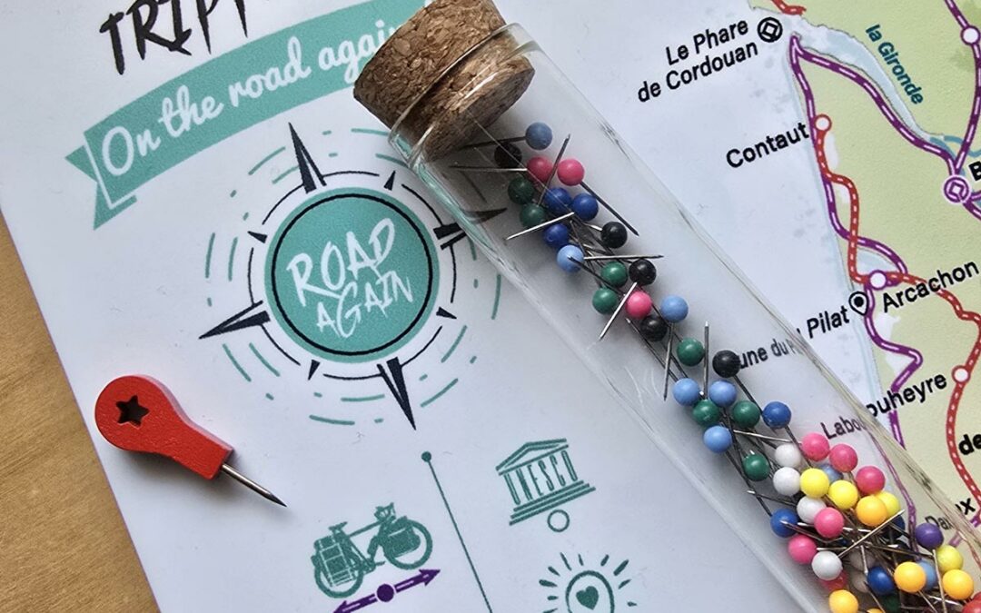 Idée cadeau pour voyageur : la carte à épingler Serial Trippers